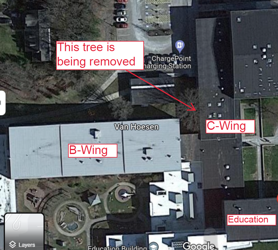 Ariel view of buildings showing a tree that is being removed